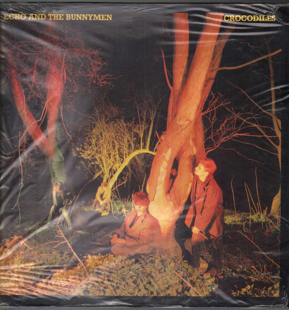 [WEA58175] Crocodiles Lp 33 Giri Echo & The Bunnymen