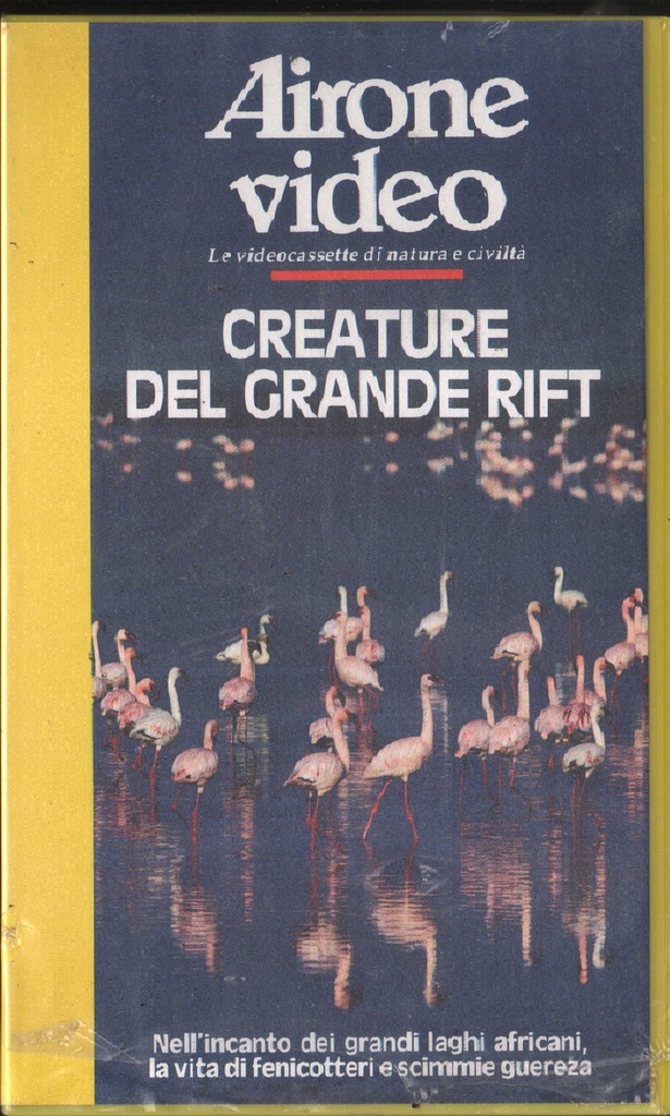 [AIV3066] Airone Video: Creature Del Grande Rift VHS Univideo - AIV3045 Sigillato